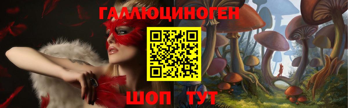 Кириши  Галлюциногенные грибы Psilocybe  Вход с VPN 
